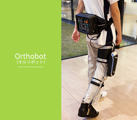 Orthobot